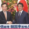 安倍総理イナギョン